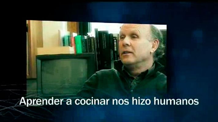 Redes - Aprender a cocinar nos hizo humanos
