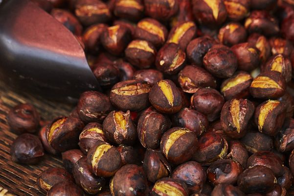 España Directo - La Magosta llega a Cantabria con el otoño