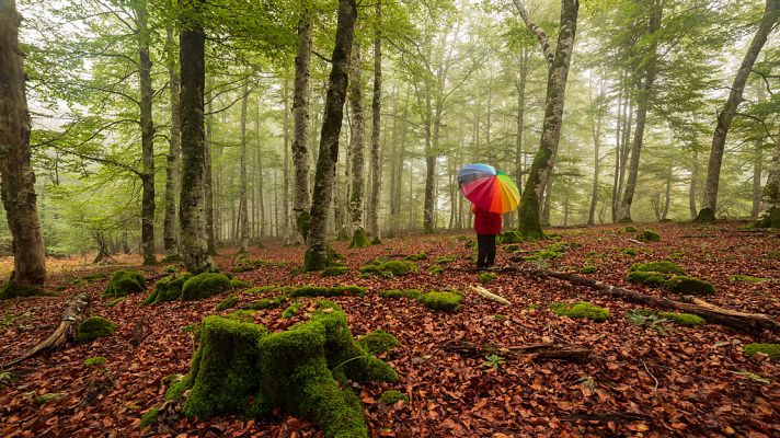 El tiempo - Intervalos de viento fuerte en Canarias, precipitaciones en Guipúzcoa y Navarra