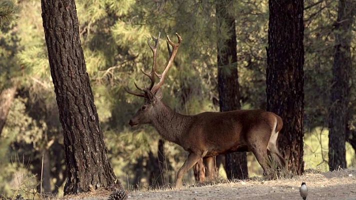 Jara y sedal - Empezamos la temporada