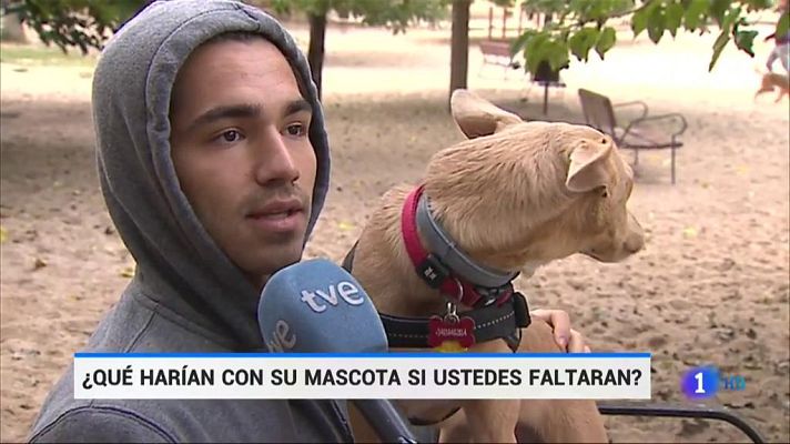 Telediario 1 - ¿Qué harían con su mascota si ustedes faltaran?