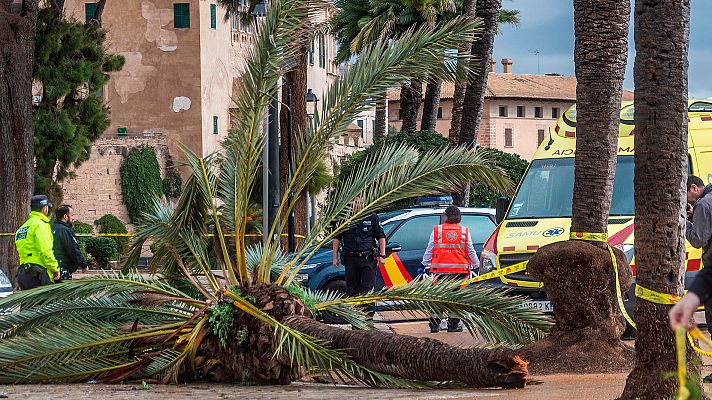 Telediario 1 - La borrasca Amelie deja una víctima mortal y muchos daños