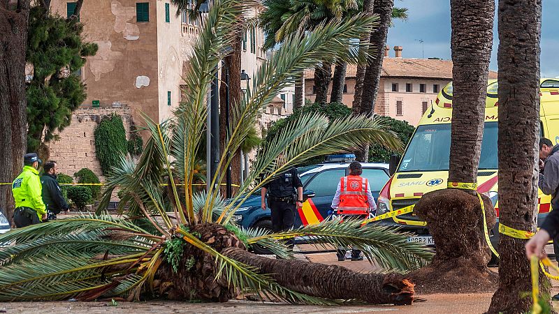 La borrasca Amelie deja una víctima mortal y numerosos destrozos