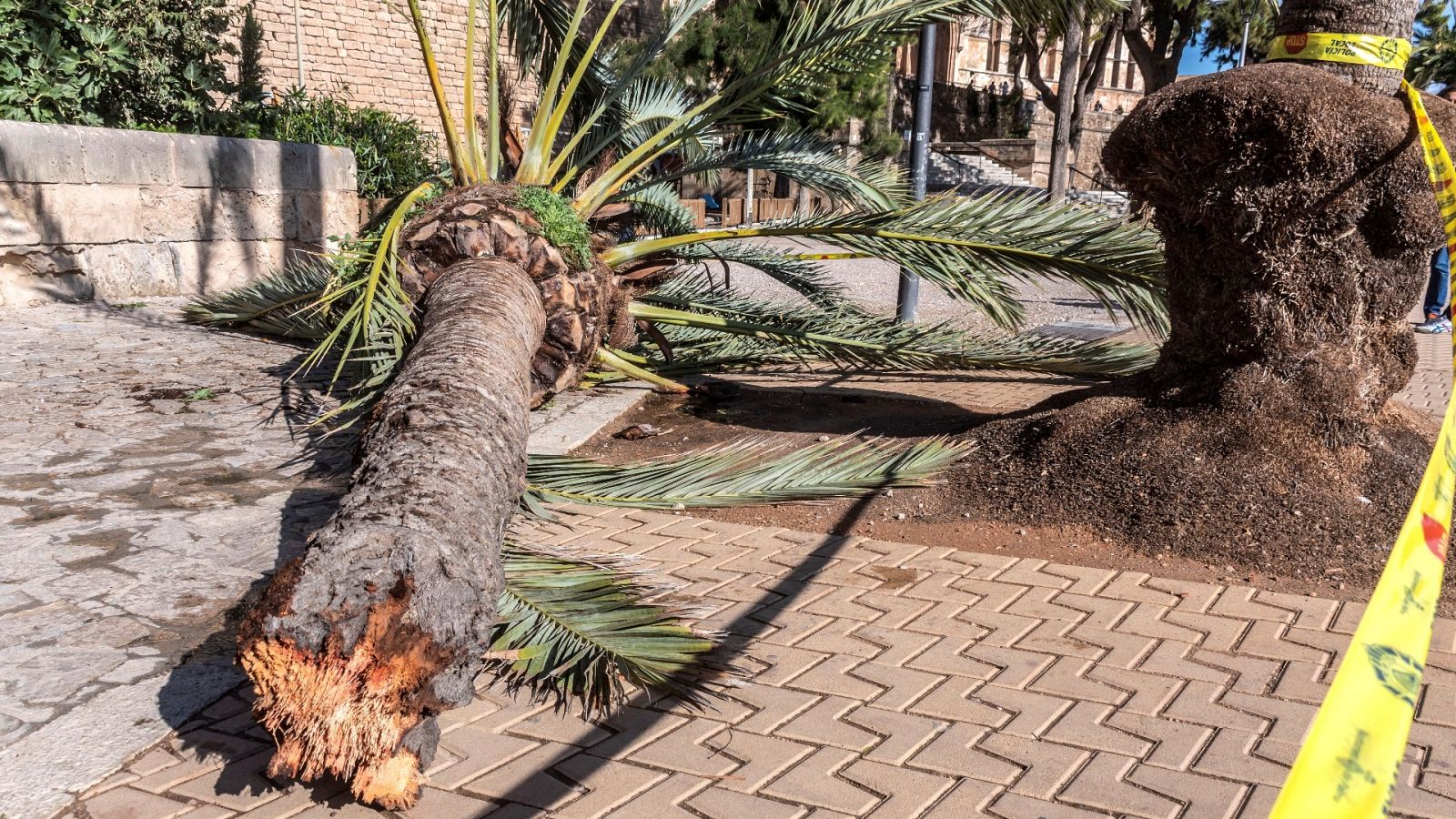 Telediario - 21 horas - 03/11/19 - Lengua de signos - ver ahora