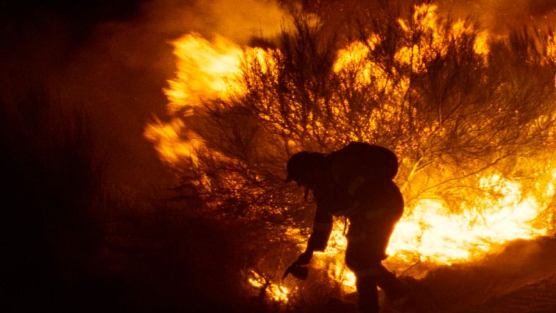 Las recomendaciones de Días de Cine - Días de cine | Ver