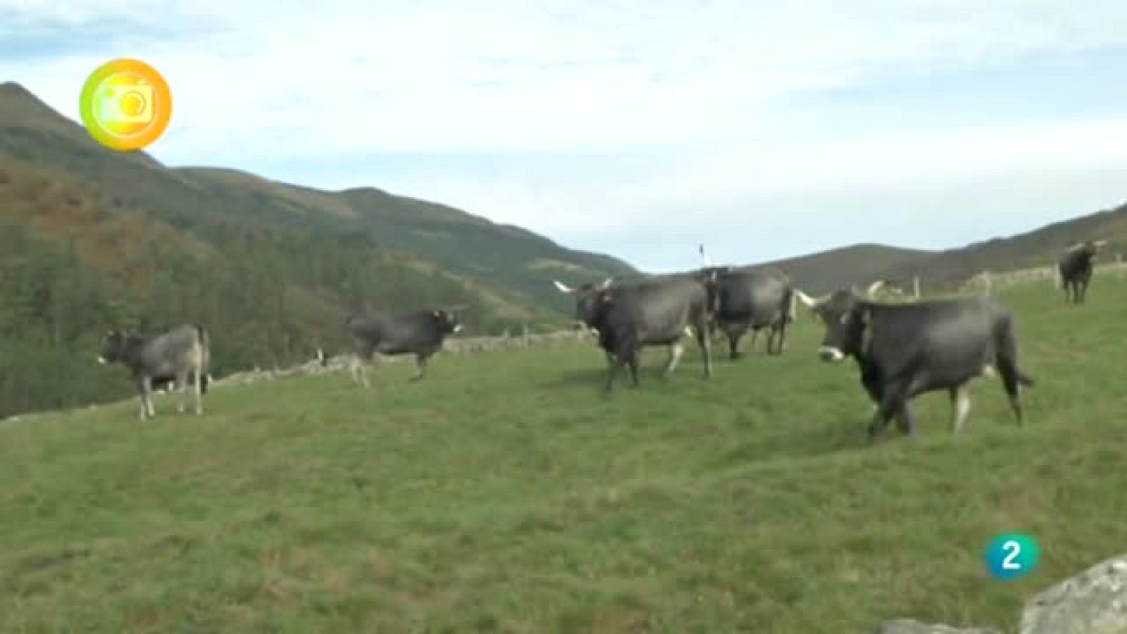 Turismo Rural, Carmona