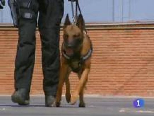 Noticias de Castilla-La Mancha - Noticias de Castilla-La Mancha - 13/07/09