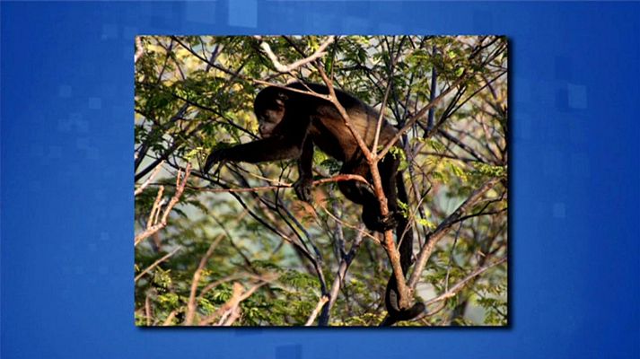 Saber y ganar - Saber y ganar - 06/11/19