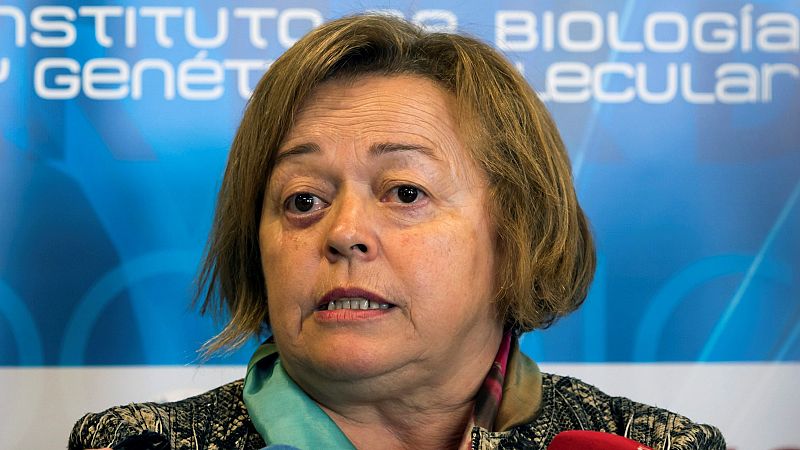La presidenta del Centro Superior de Investigaciones Científicas (CSIC), Rosa Menéndez, ha expresado al Canal 24 Horas su gran tristeza por la muerte de la científica Margarita Salas, y ha asegurado que "es un referente para todos", y su figura "no s