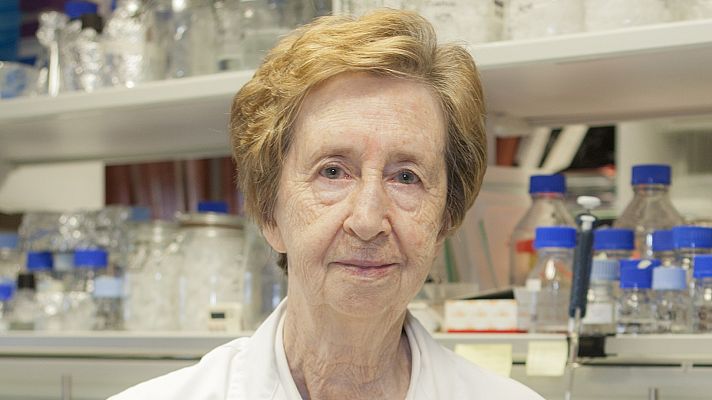 La hora Cervantes - La hora Cervantes - 07/11/19