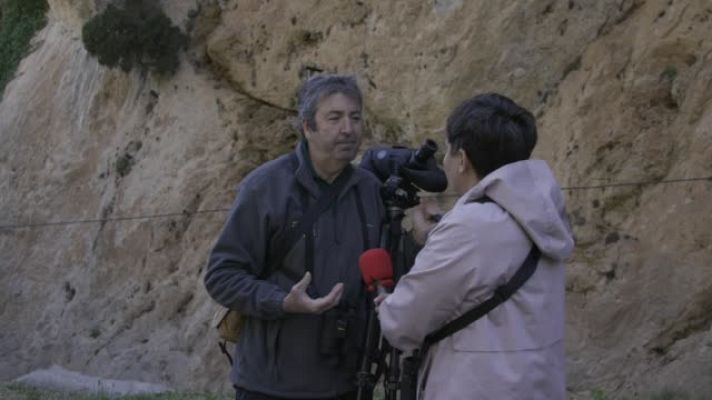 La paisana - Abrazar a los árboles nos llena de energía