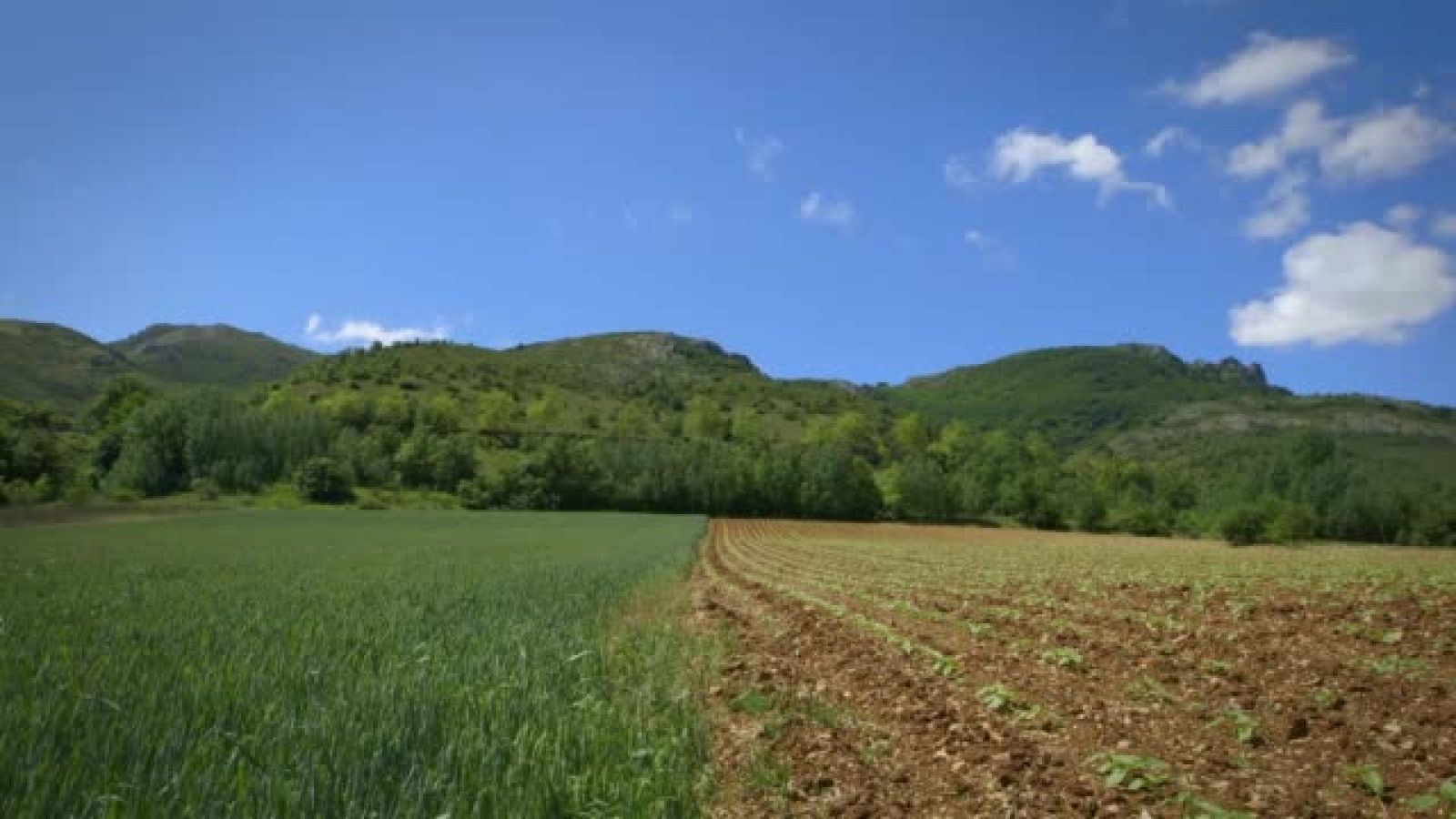 La Paisana - Eva se enamora de Oña