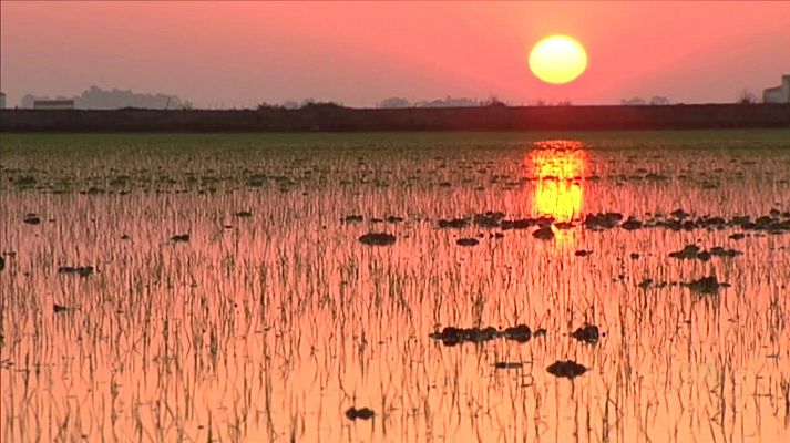 Agrosfera - Agrosfera - 09/11/19