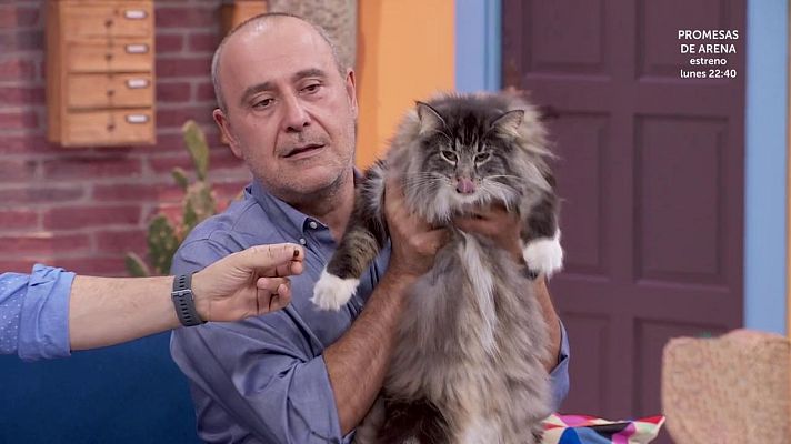 +Cotas - Programa 19