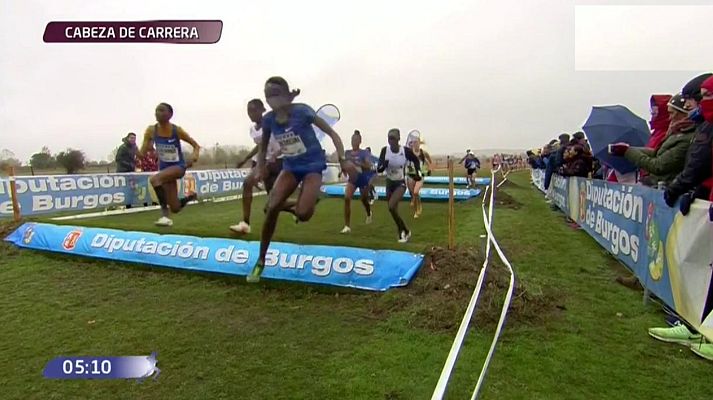Cross - Carrera absoluta femenina, desde Atapuerca (Burgos)