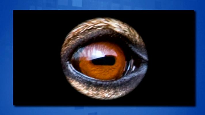 Saber y ganar - Saber y ganar - 11/11/19