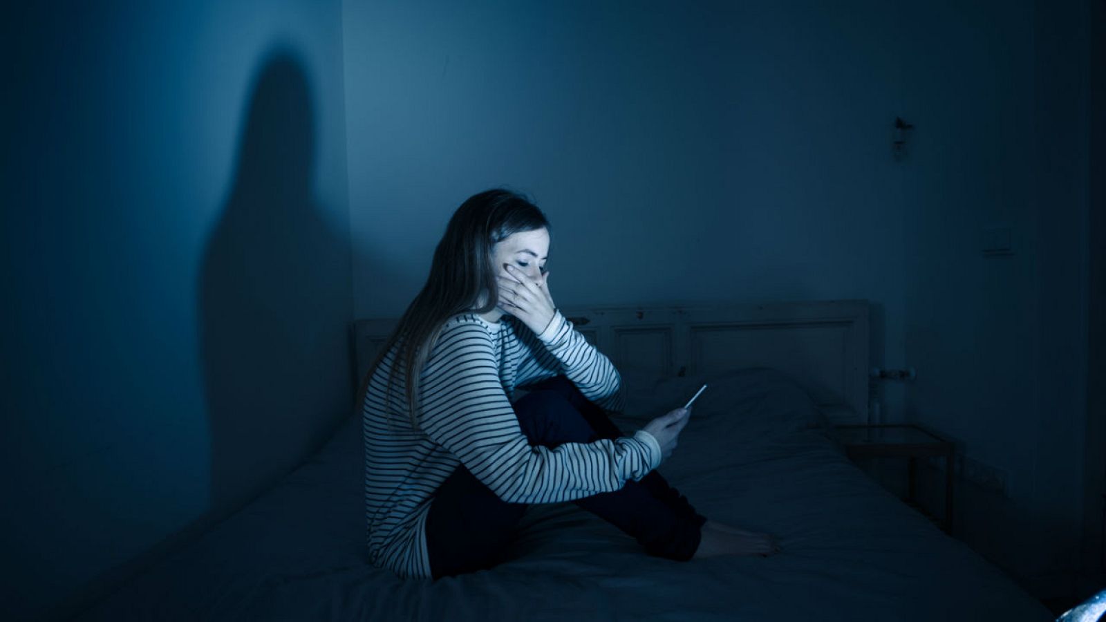 La Mañana - Ocho detenidos por acosar sexualmente a una menor por redes sociales