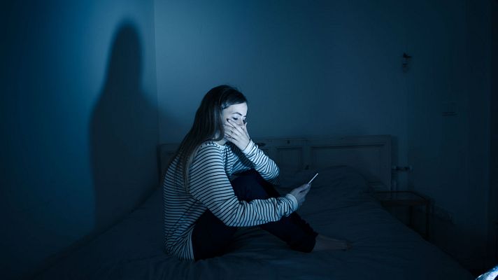 La mañana - Ocho detenidos por ciberacoso a una menor