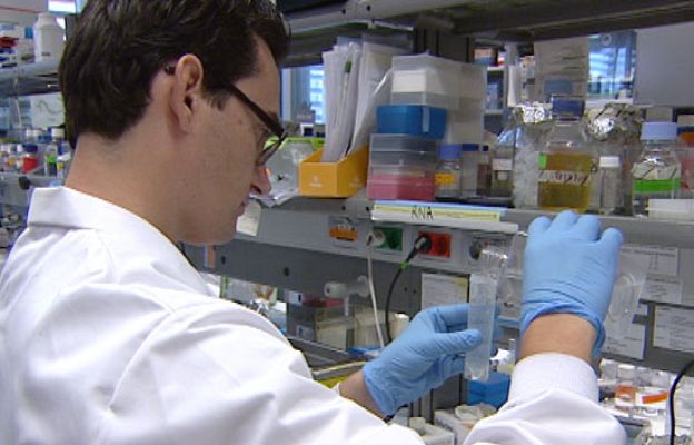 Ciencia y tecnología en Rtve.es - Informe para evitar metástasis