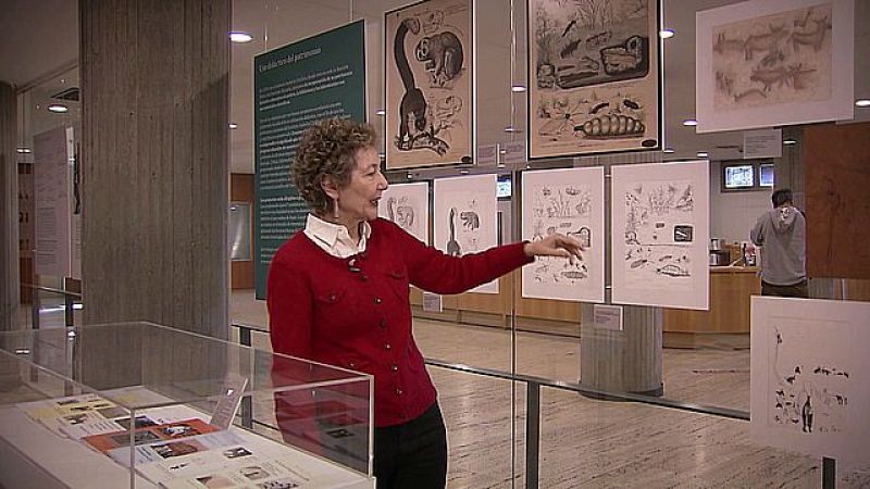 Ciencia e innovacin en las aulas. El Instituto-Escuela