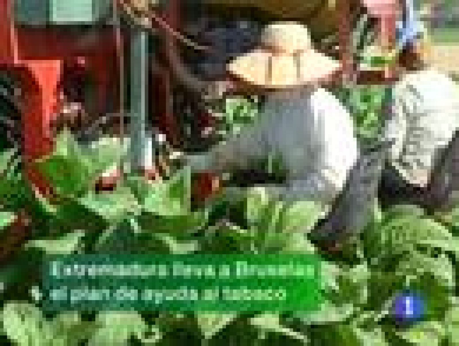 Noticias de Extremadura. Informativo Territorial de Extremadura. (14/07/09)