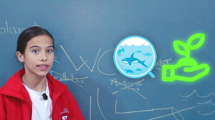 Eurovisión Junior - Melani Consejo 4: Proteger los océanos