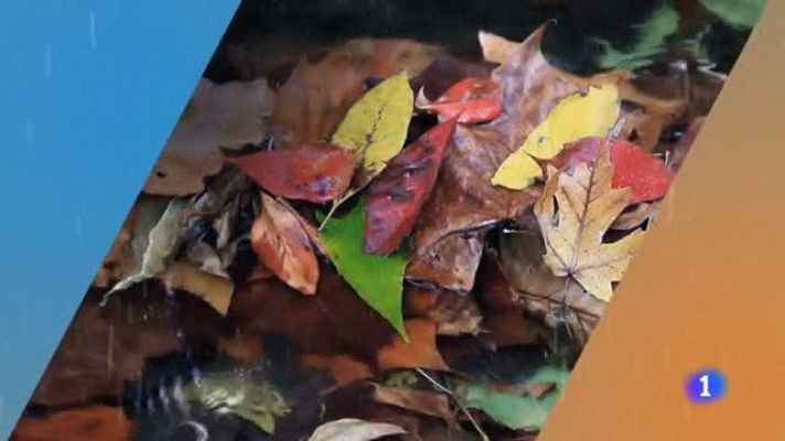 Noticias de Castilla y León - El tiempo en Castilla y León - 13/11/19