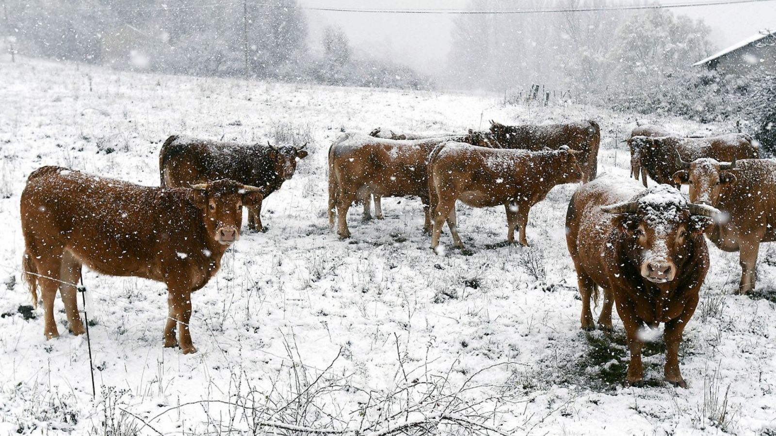 Aquí la Tierra - 14/11/19 - ver ahora