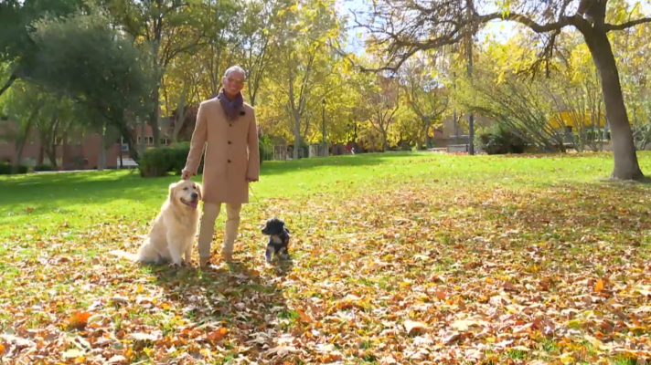 Saber vivir - Gente saludable - Pitingo