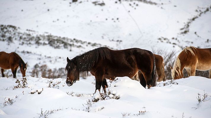 Telediario 1 - Telediario - 15 horas - 16/11/19