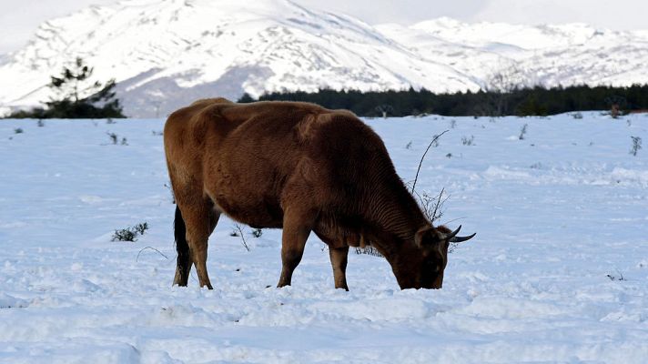 Telediario 1 - Telediario 2 en 4' - 17/11/19