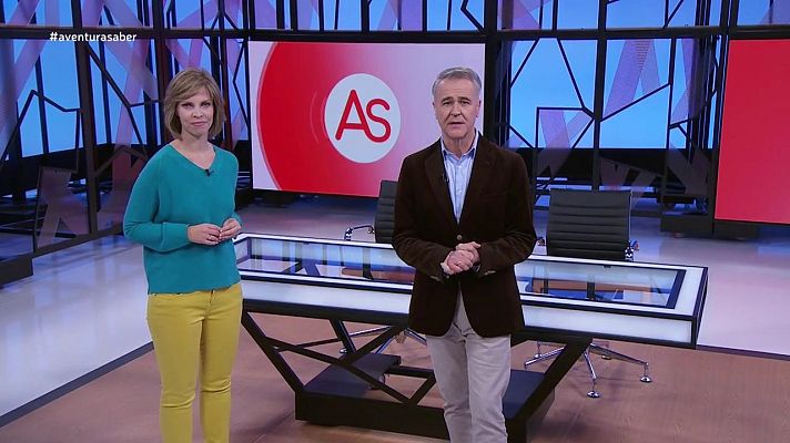 La aventura del Saber - La aventura del saber - 19/11/19