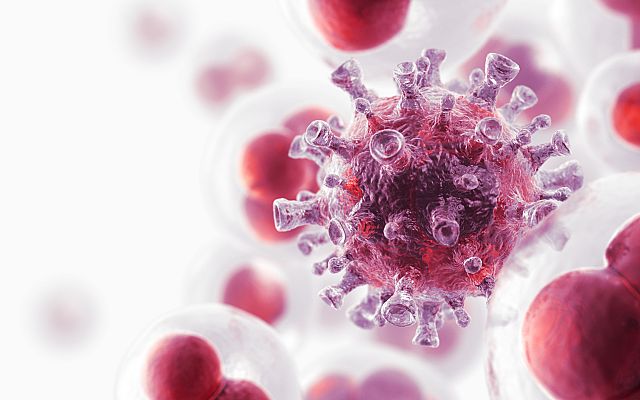 La mañana - Células zombis: se ha encontrado cómo combatirlas