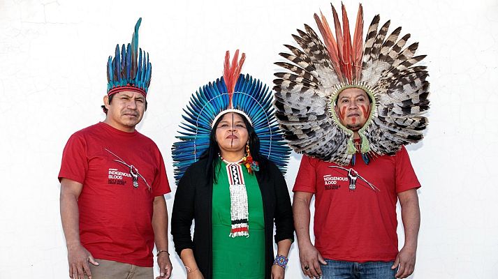 L'informatiu - Comunitat Valenciana - L'Informatiu - Comunitat Valenciana 2 - 19/11/19