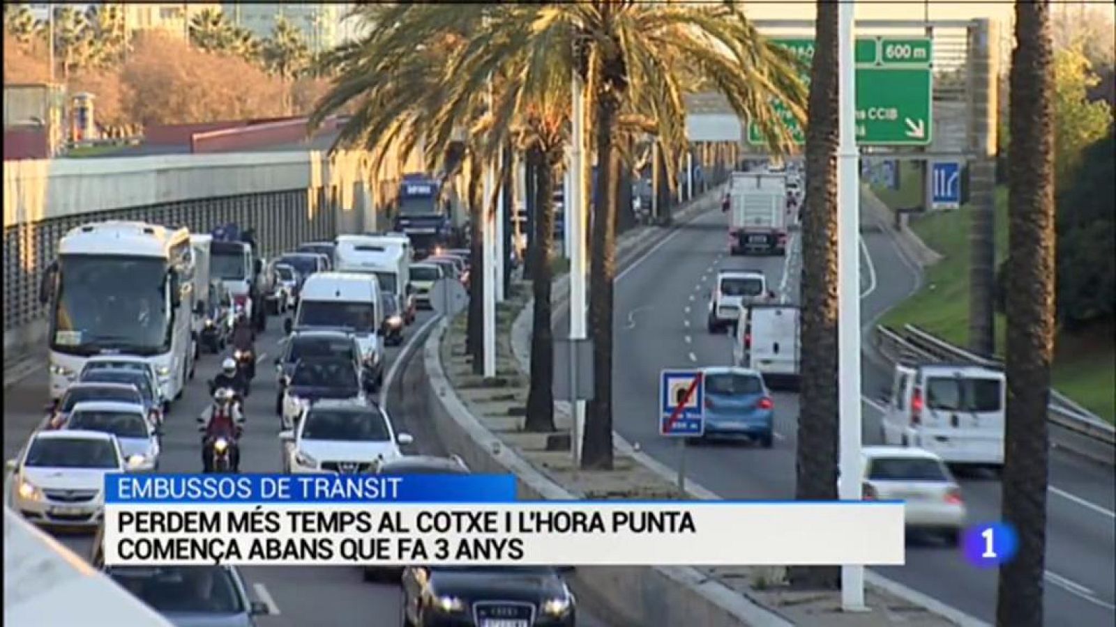 L'Informatiu - 20/11/2019