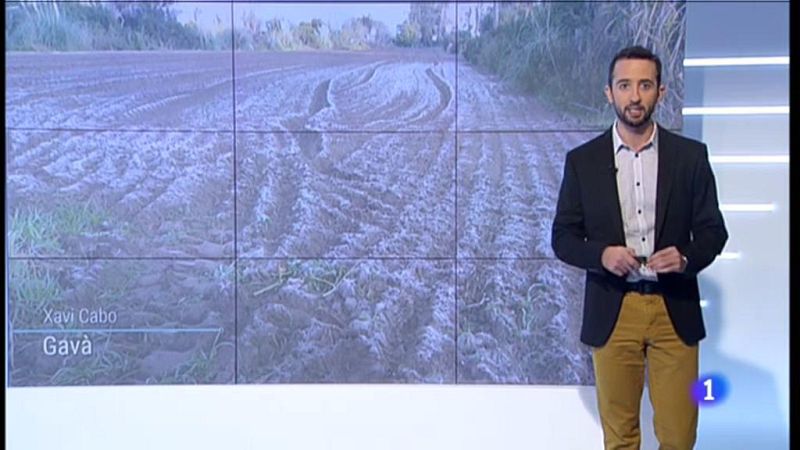 El Temps - 20/11/2019