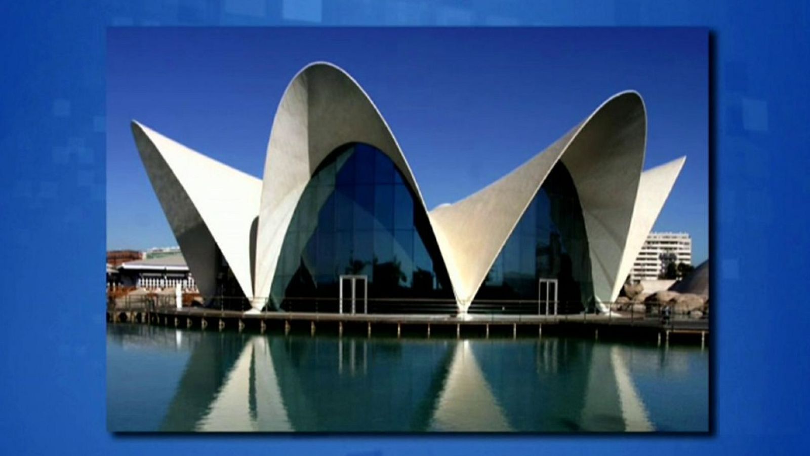 Saber y ganar - 21/11/19 - ver ahora