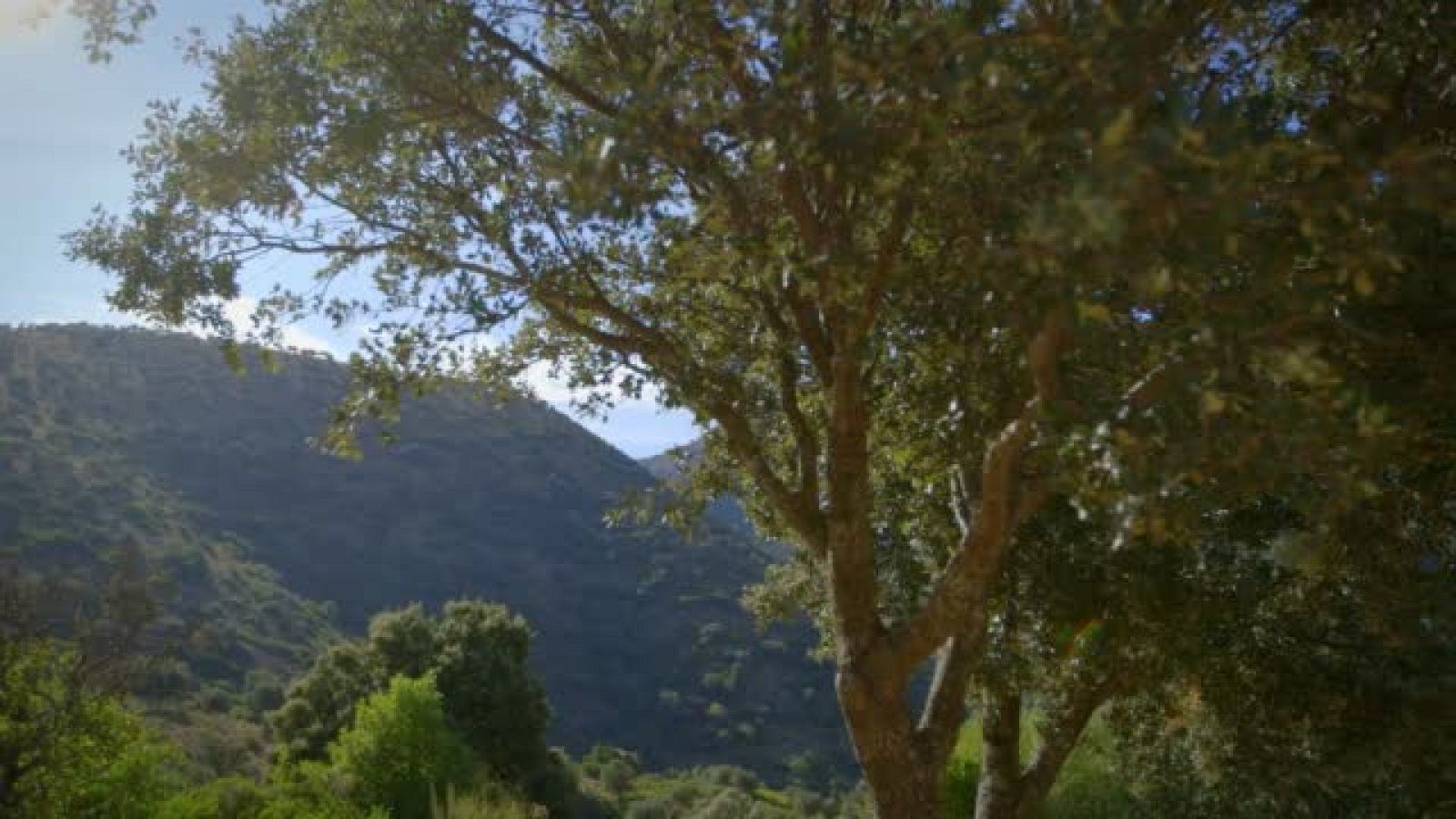 La Paisana - La Paisana visita Zahara de la Sierra