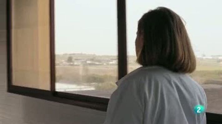  - La enfermedad de las mil caras