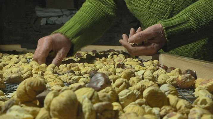 Aquí la Tierra - ¿En qué consiste la tradición del rebusco?