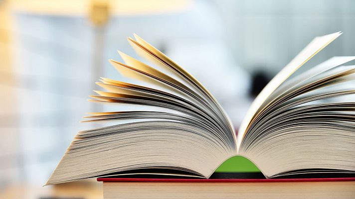 Telediario 1 - "Potosí", "Zangolotino" y "adamar": las palabras menos conocidas del diccionario de la lengua española