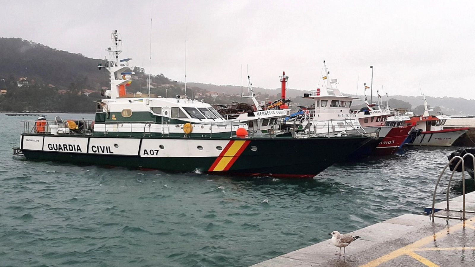 Telediario - 21 horas - 24/11/19 - Lengua de signos - ver ahora