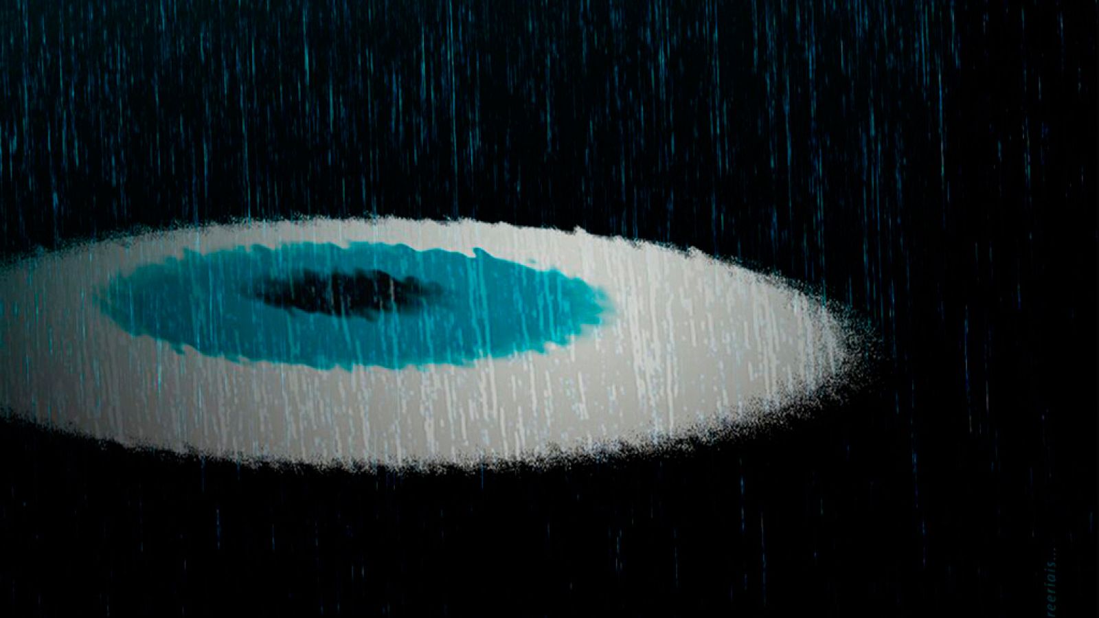 Festival Internacional de Cine de Gijón/Xixón 2019