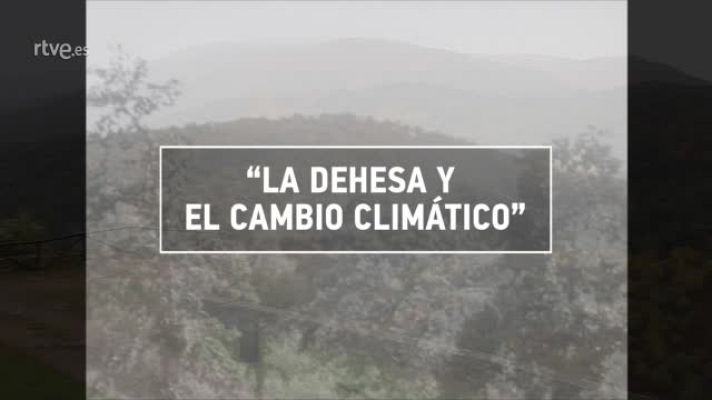  - Encinas y alcornoques bajo presión