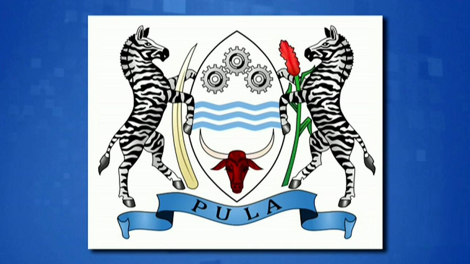 Saber y ganar - 25/11/19 - ver ahora