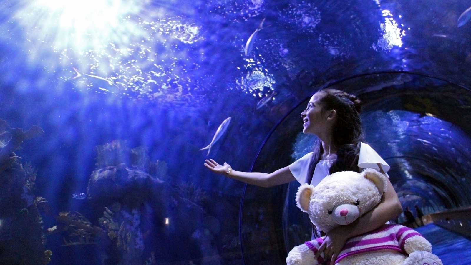 Melani nos habla del éxito en redes de su oso de peluche 'Abracitos'