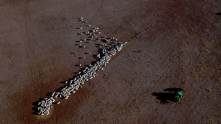 Telediario 1 - La temperatura subiría 3,2 grados aunque se cumpla el Acuerdo de París