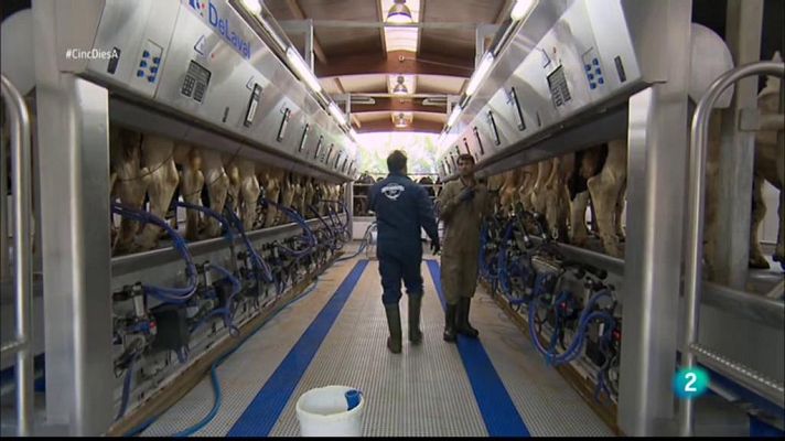 Cinc dies a... - Mas La Coromina