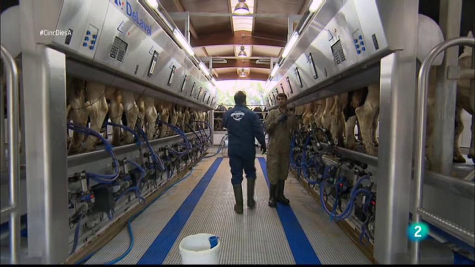 Cinc dies a Mas La Coromina