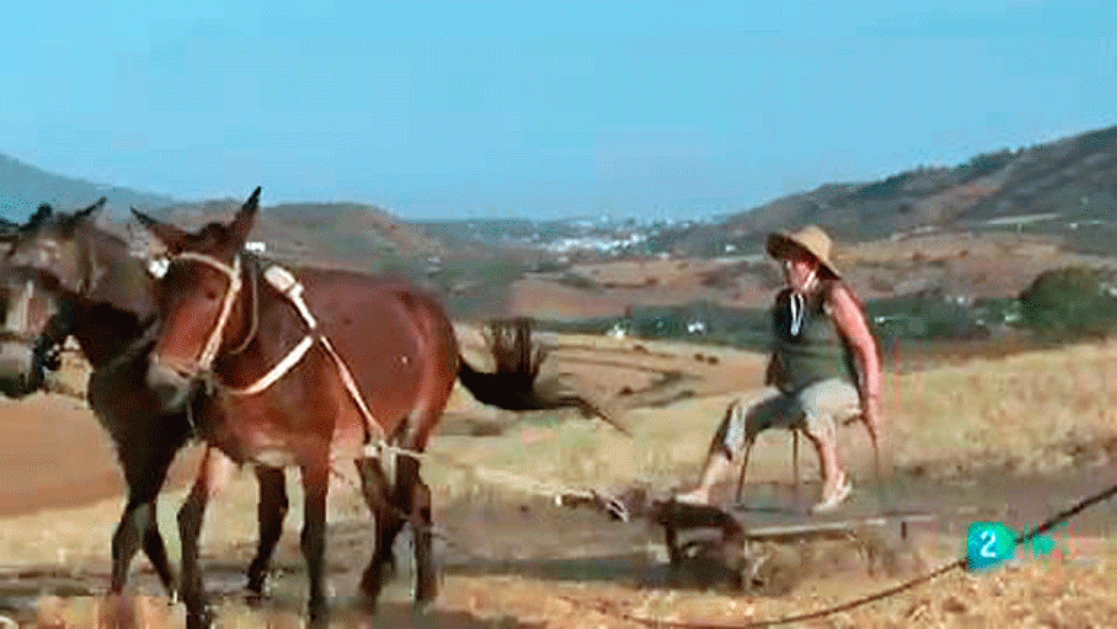 desafíos medioambientales y sociales La aventura del saber